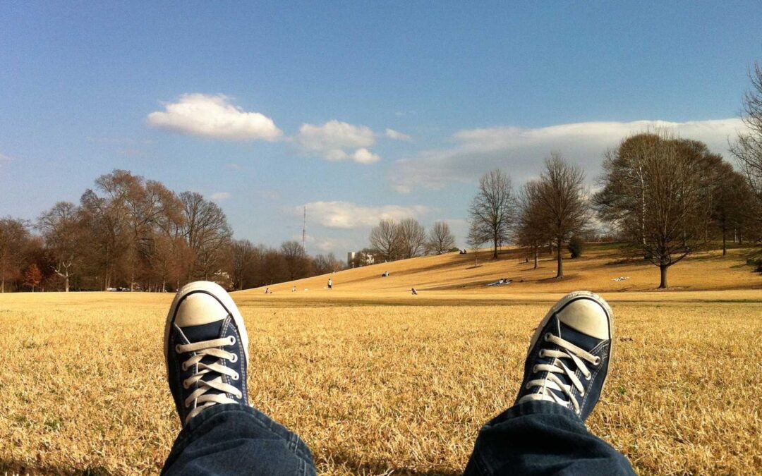 Nisi voluptas et dolor