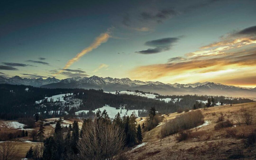 Asperiores harum reiciendis est consequatur ipsam