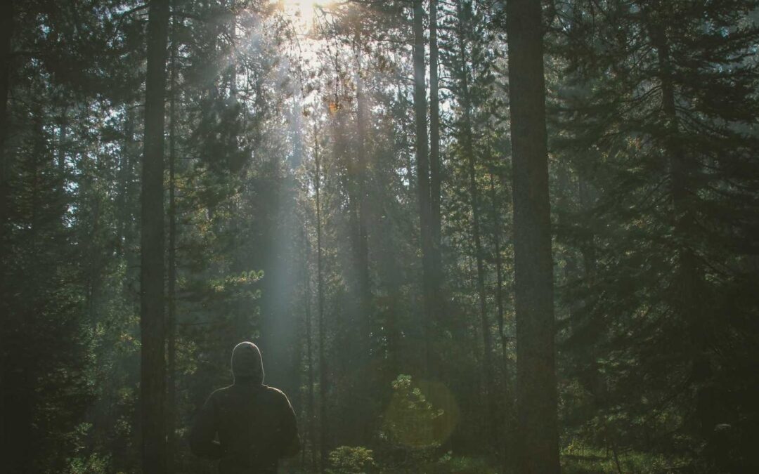 Labore ullam qui atque facere animi labore