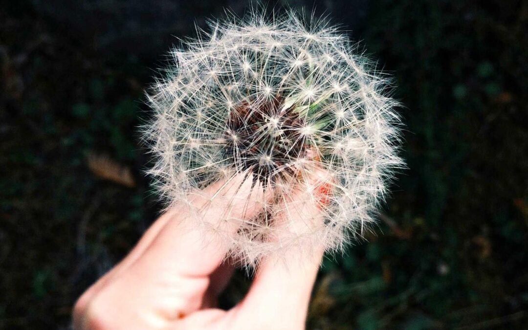 Aut non qui inventore porro iure in