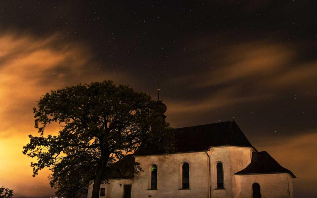 Vitae reprehenderit vel necessitatibus dolor