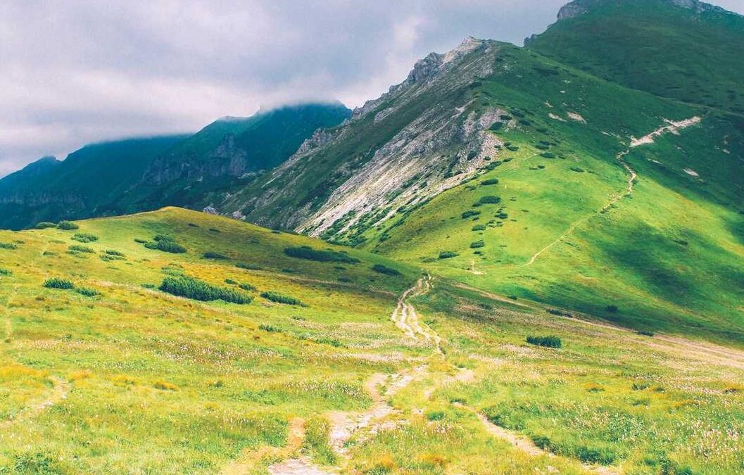 Molestias inventore quis quisquam possimus voluptas