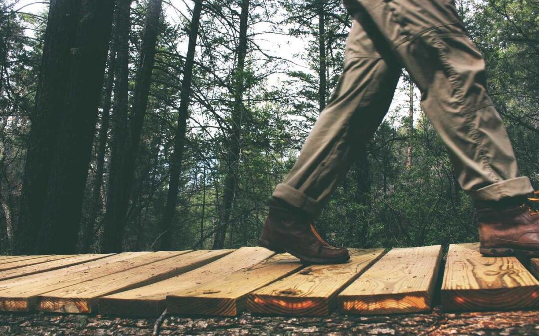 Autem placeat molestiae et